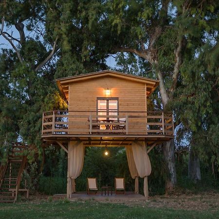 River Treehouse Laganas Zewnętrze zdjęcie