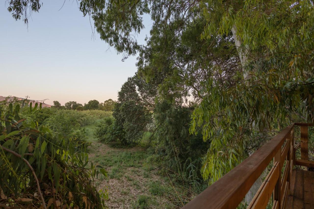 River Treehouse Laganas Zewnętrze zdjęcie