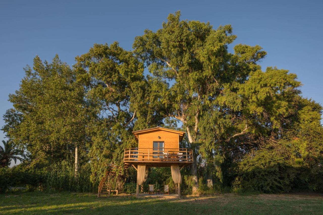 River Treehouse Laganas Zewnętrze zdjęcie