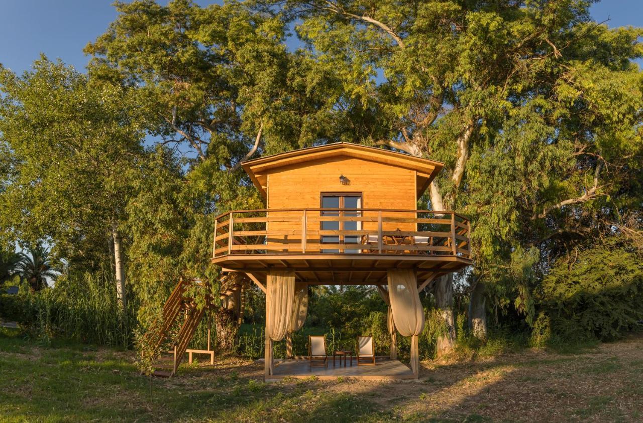 River Treehouse Laganas Zewnętrze zdjęcie